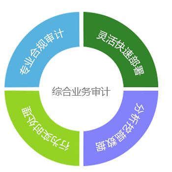 终端审计平台 终端审计平台